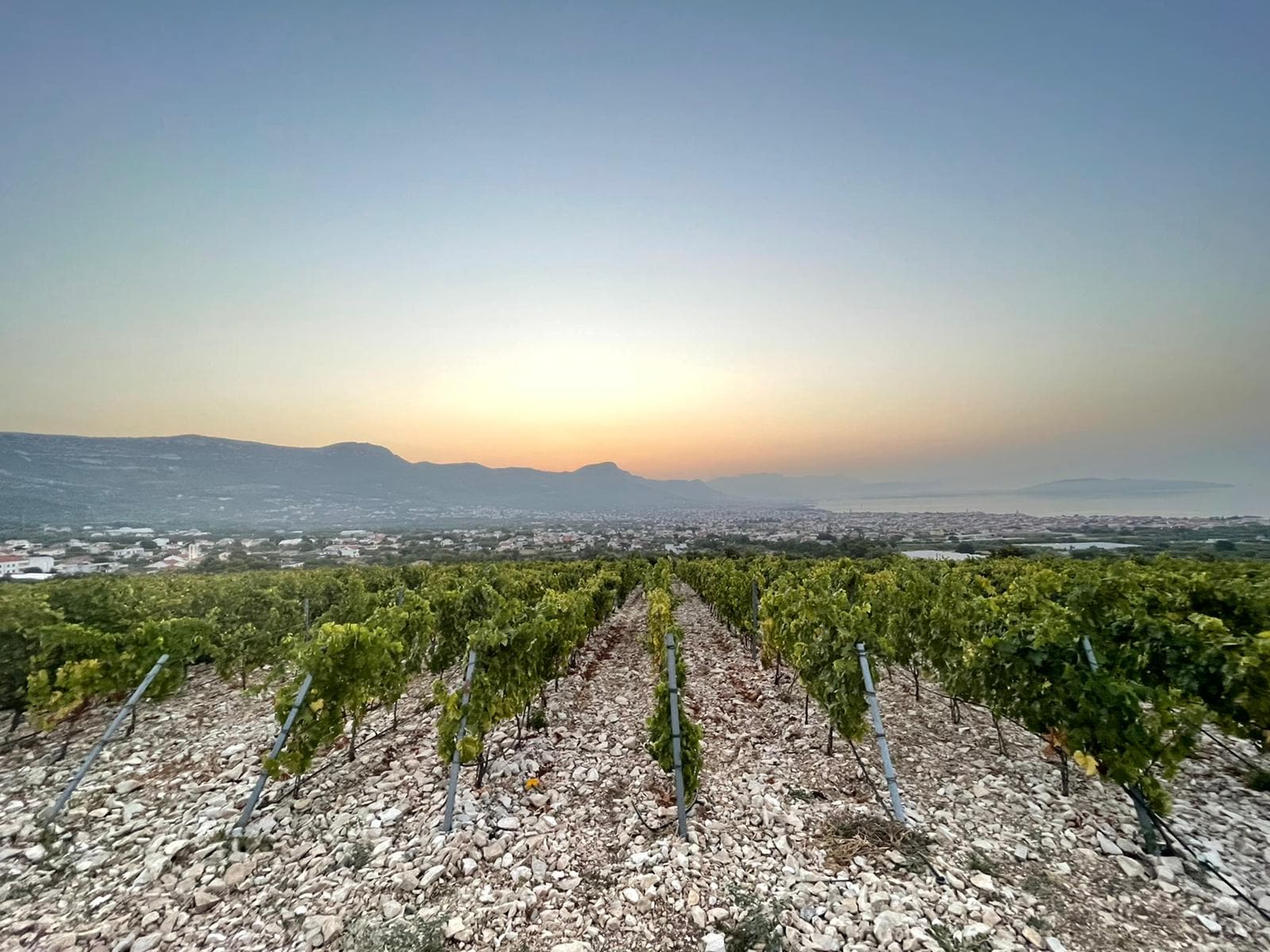 Kaštela Wine Tour — 2