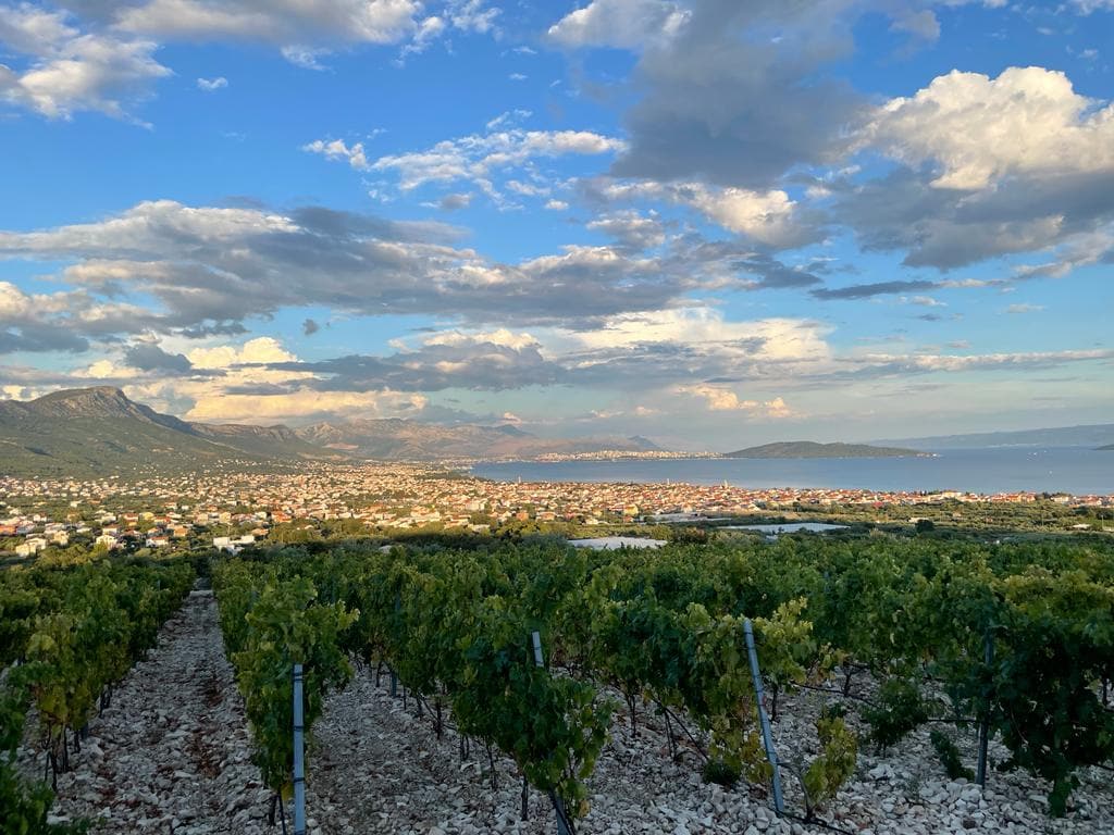 Kaštela Wine Tour — 3