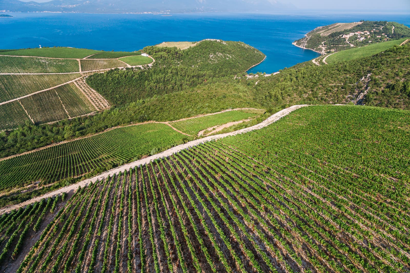 Pelješac Wine Tour — 2