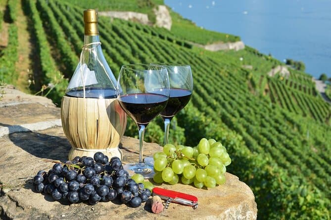 Pelješac Wine Tour
